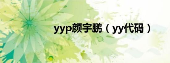 yyp颜宇鹏（yy代码）