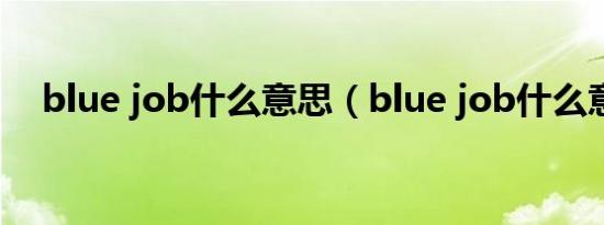 blue job什么意思（blue job什么意思）