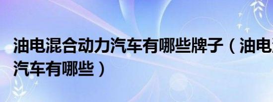 油电混合动力汽车有哪些牌子（油电混合动力汽车有哪些）