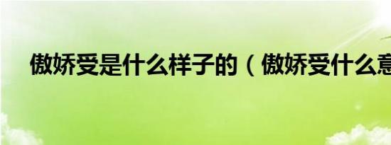 傲娇受是什么样子的（傲娇受什么意思）