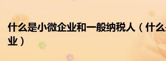 什么是小微企业和一般纳税人（什么是小微企业）