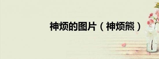 神烦的图片（神烦熊）