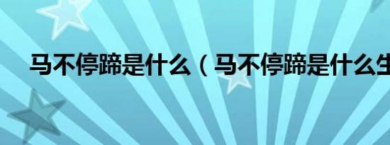 马不停蹄是什么（马不停蹄是什么生肖）