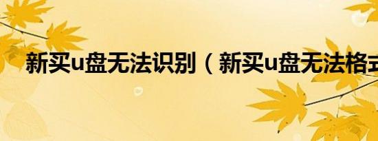 新买u盘无法识别（新买u盘无法格式化）
