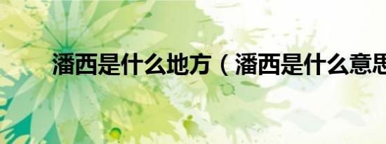 潘西是什么地方（潘西是什么意思）