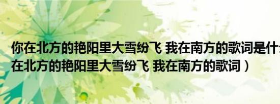 你在北方的艳阳里大雪纷飞 我在南方的歌词是什么意思（你在北方的艳阳里大雪纷飞 我在南方的歌词）