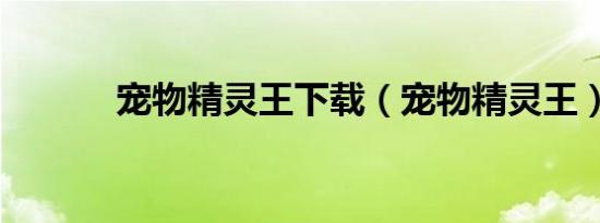 宠物精灵王下载（宠物精灵王）