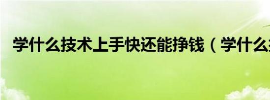 学什么技术上手快还能挣钱（学什么技术）