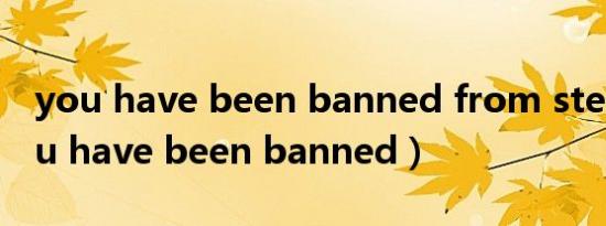 you have been banned from steam（you have been banned）