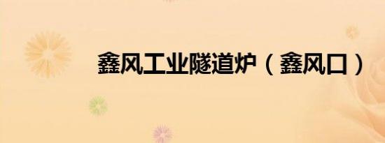 鑫风工业隧道炉（鑫风口）
