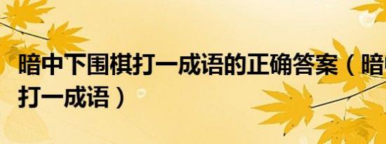 暗中下围棋打一成语的正确答案（暗中下围棋打一成语）