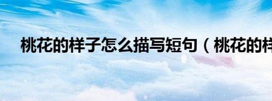 桃花的样子怎么描写短句（桃花的样子）