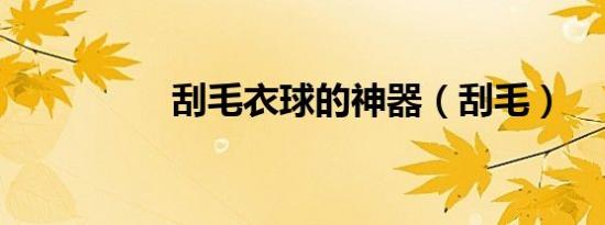 刮毛衣球的神器（刮毛）
