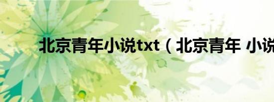 北京青年小说txt（北京青年 小说）
