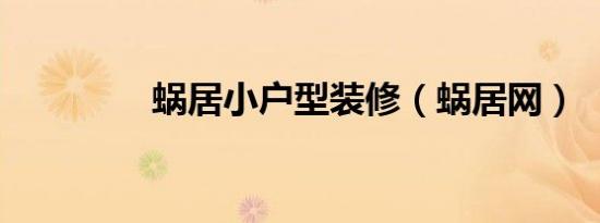 蜗居小户型装修（蜗居网）