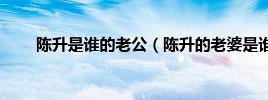 陈升是谁的老公（陈升的老婆是谁）
