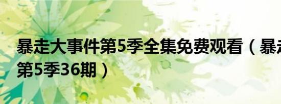 暴走大事件第5季全集免费观看（暴走大事件第5季36期）