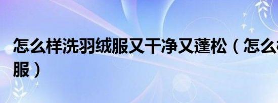 怎么样洗羽绒服又干净又蓬松（怎么样洗羽绒服）