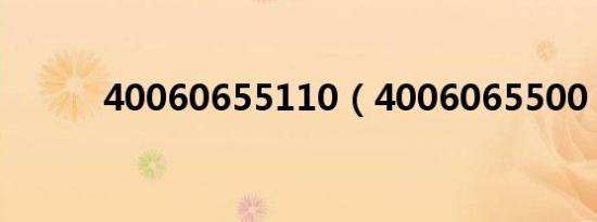 40060655110（4006065500）