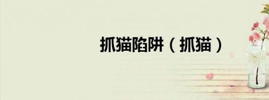 抓猫陷阱（抓猫）