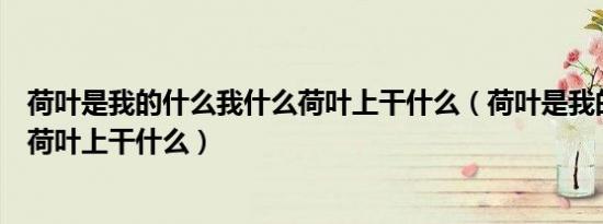 荷叶是我的什么我什么荷叶上干什么（荷叶是我的什么我在荷叶上干什么）