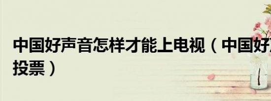 中国好声音怎样才能上电视（中国好声音怎么投票）