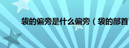 袋的偏旁是什么偏旁（袋的部首）