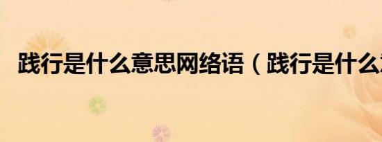 践行是什么意思网络语（践行是什么意思）