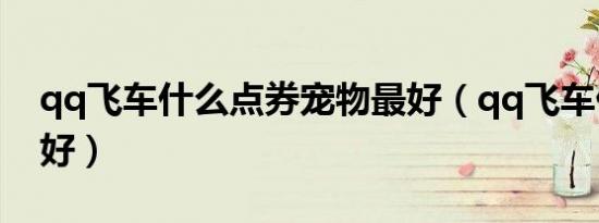 qq飞车什么点券宠物最好（qq飞车什么b车好）