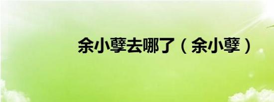 余小孽去哪了（余小孽）