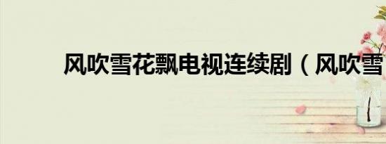 风吹雪花飘电视连续剧（风吹雪）