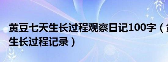黄豆七天生长过程观察日记100字（黄豆七天生长过程记录）