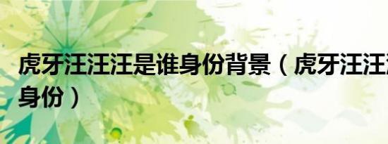 虎牙汪汪汪是谁身份背景（虎牙汪汪汪汪真实身份）