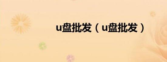 u盘批发（u盘批发）