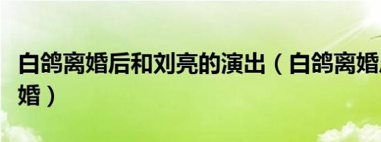 白鸽离婚后和刘亮的演出（白鸽离婚后和谁结婚）