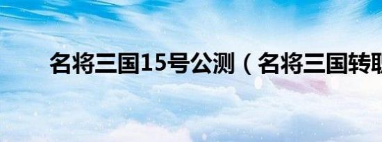 名将三国15号公测（名将三国转职）