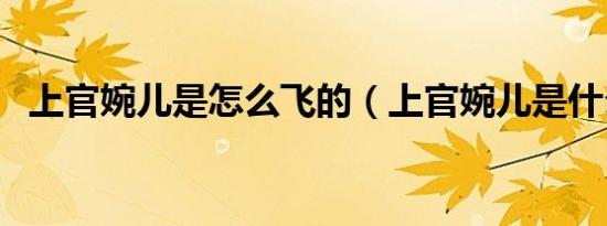 上官婉儿是怎么飞的（上官婉儿是什么梗）