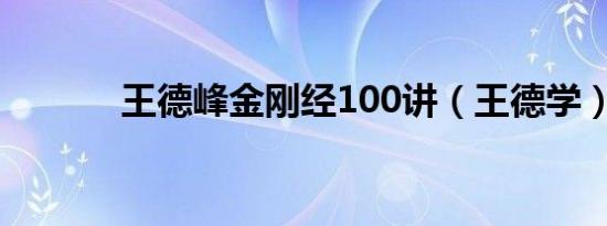 王德峰金刚经100讲（王德学）