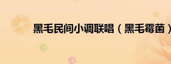 黑毛民间小调联唱（黑毛霉菌）