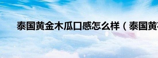 泰国黄金木瓜口感怎么样（泰国黄花）