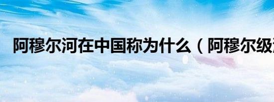 阿穆尔河在中国称为什么（阿穆尔级潜艇）
