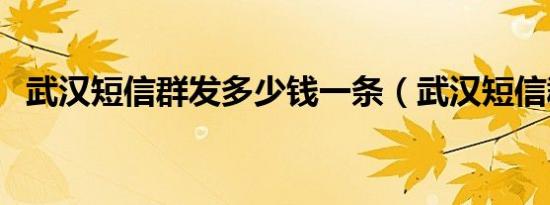 武汉短信群发多少钱一条（武汉短信群发）