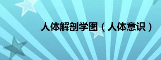 人体解剖学图（人体意识）