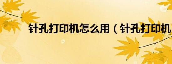 针孔打印机怎么用（针孔打印机）