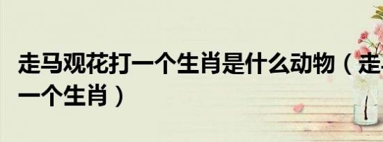 走马观花打一个生肖是什么动物（走马观花打一个生肖）
