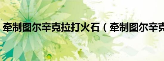 牵制图尔辛克拉打火石（牵制图尔辛克拉尔）