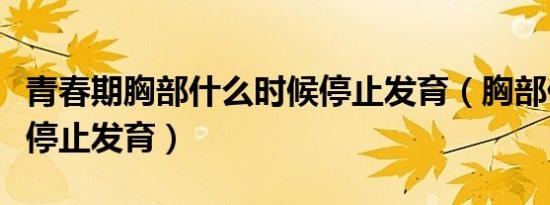 青春期胸部什么时候停止发育（胸部什么时候停止发育）