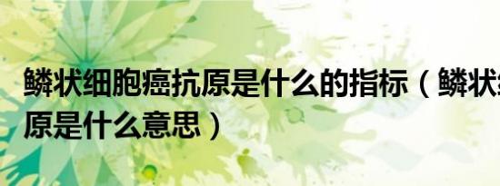 鳞状细胞癌抗原是什么的指标（鳞状细胞癌抗原是什么意思）