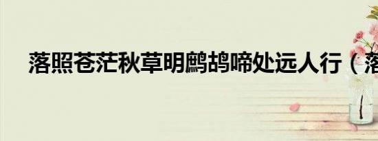 落照苍茫秋草明鹧鸪啼处远人行（落照）