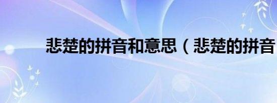 悲楚的拼音和意思（悲楚的拼音）